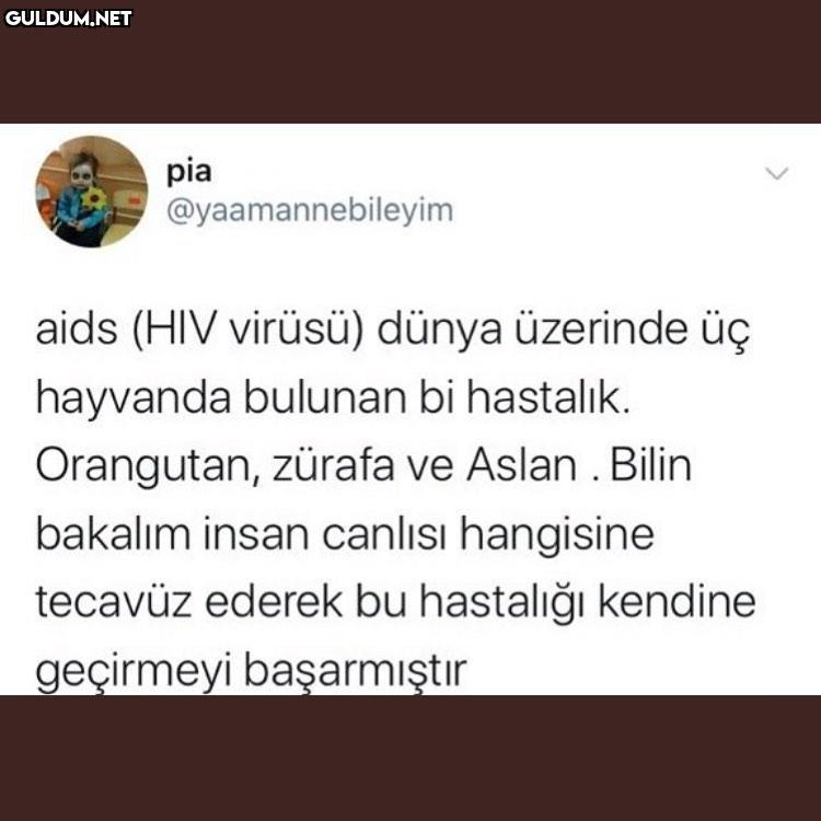 pia @yaamannebileyim aids...