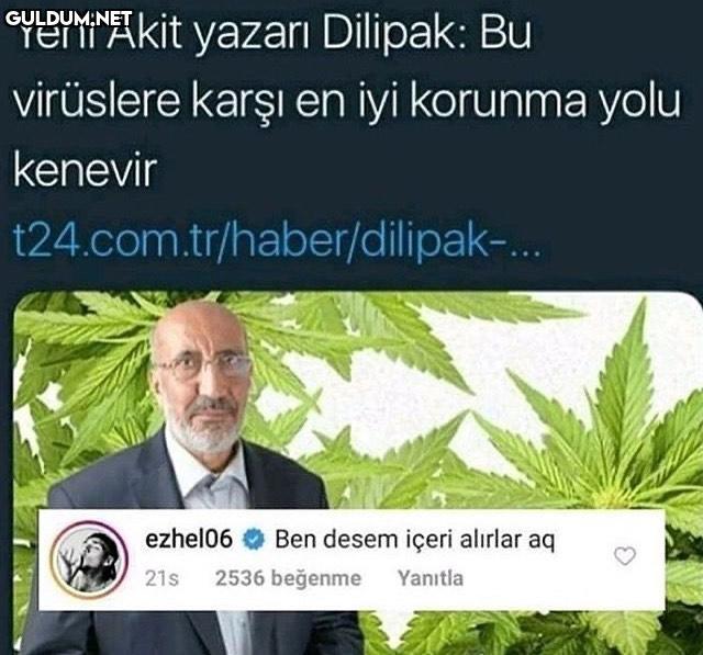 Yeni Akit yazarı Dilipak:...