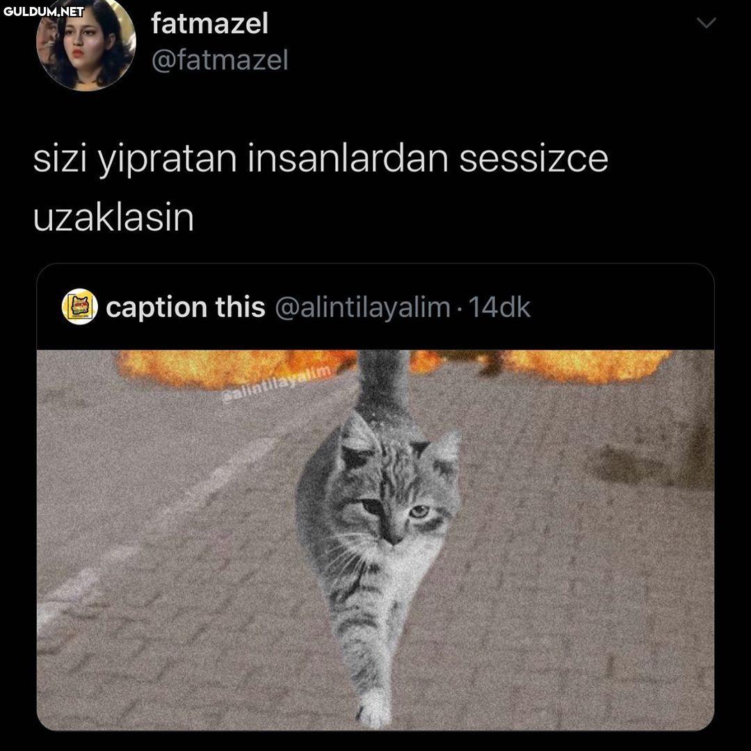 Popular post