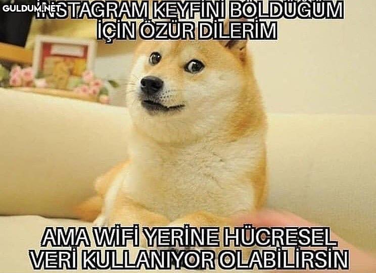 ufak bir hatırlatma...
