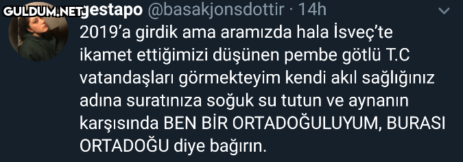 gestapo @basakjonsdottir ·...