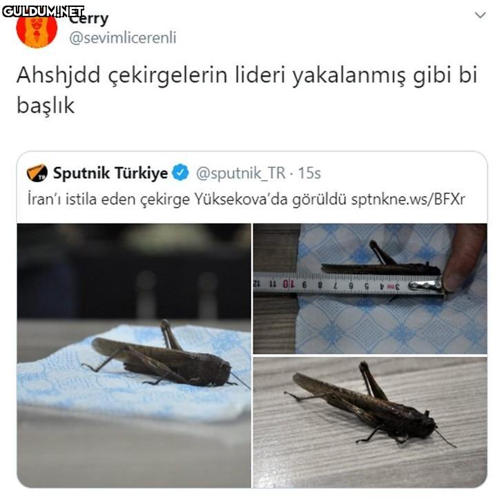 Cerry @sevimlicerenli...