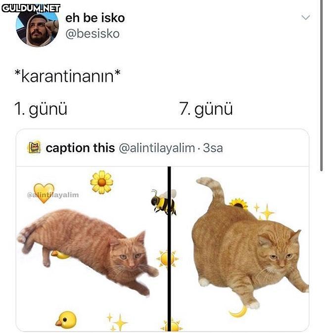 kilo almamak mümkün değil...