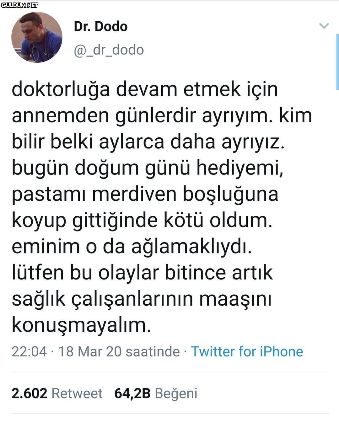 Dr. Dodo @_dr_dodo...