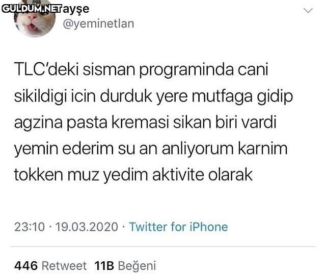 ayşe @yeminetlan TLC'deki...