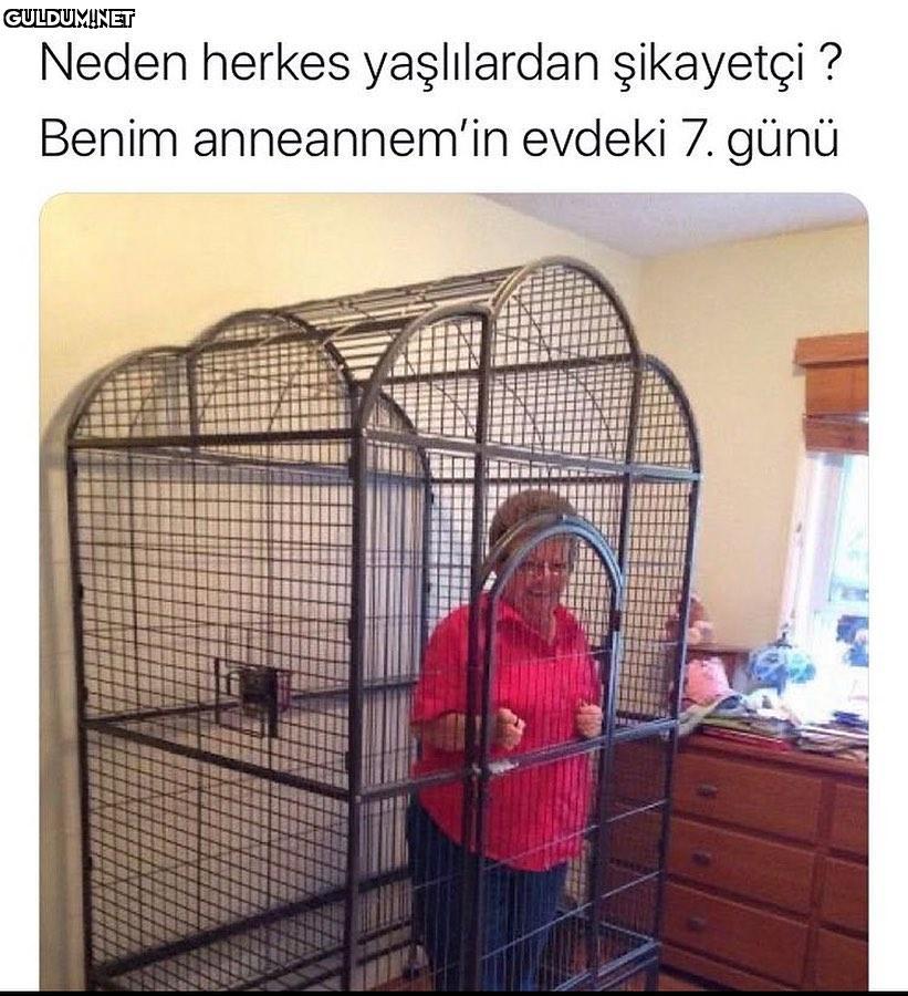 Neden herkes yaşlılardan...