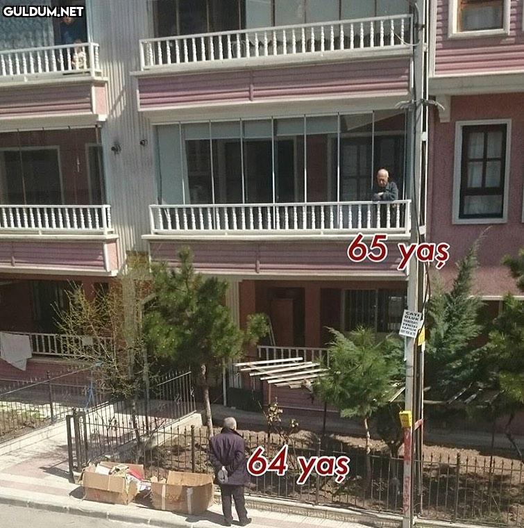 65 yaş VAPILIN 64 yaş