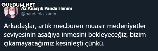 Az Anarşik Panda Hanım...