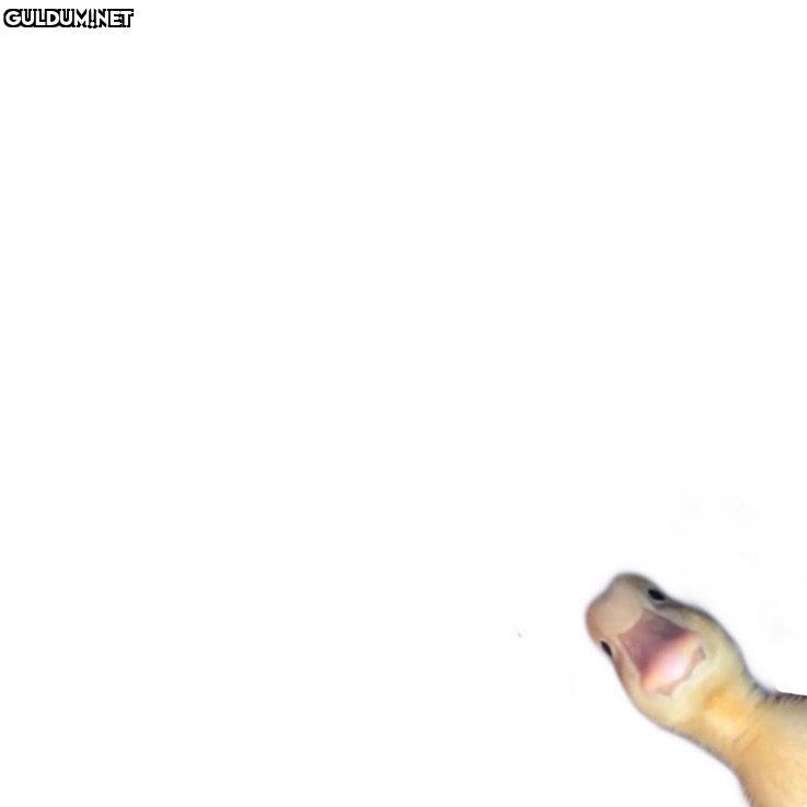 Popular post