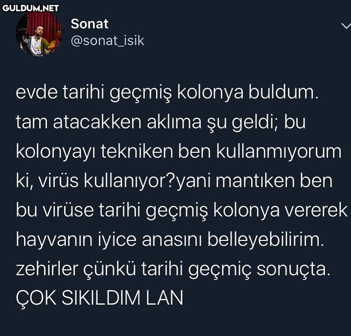 Sonat @sonat_isik evde...