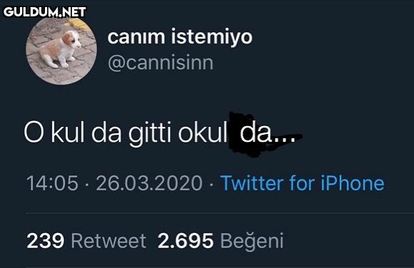 ikisi de aynı. olsa bir...