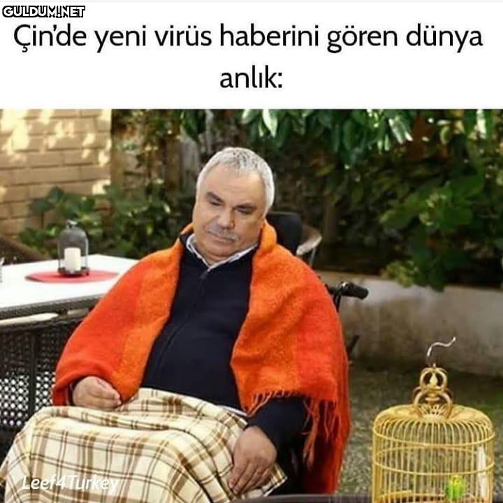 Çin'de yeni virüs haberini...