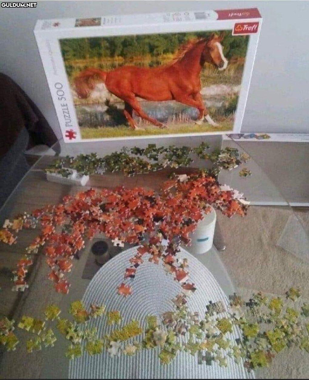 Sabır seviyem Frefl * PUZZLE 500