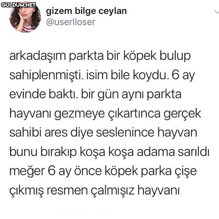 gizem bilge ceylan...