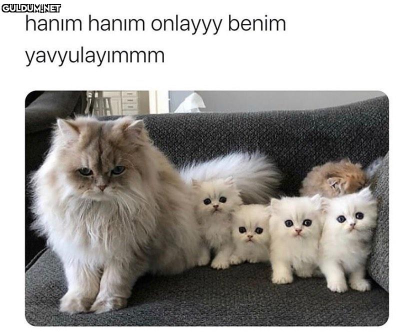 Popular post