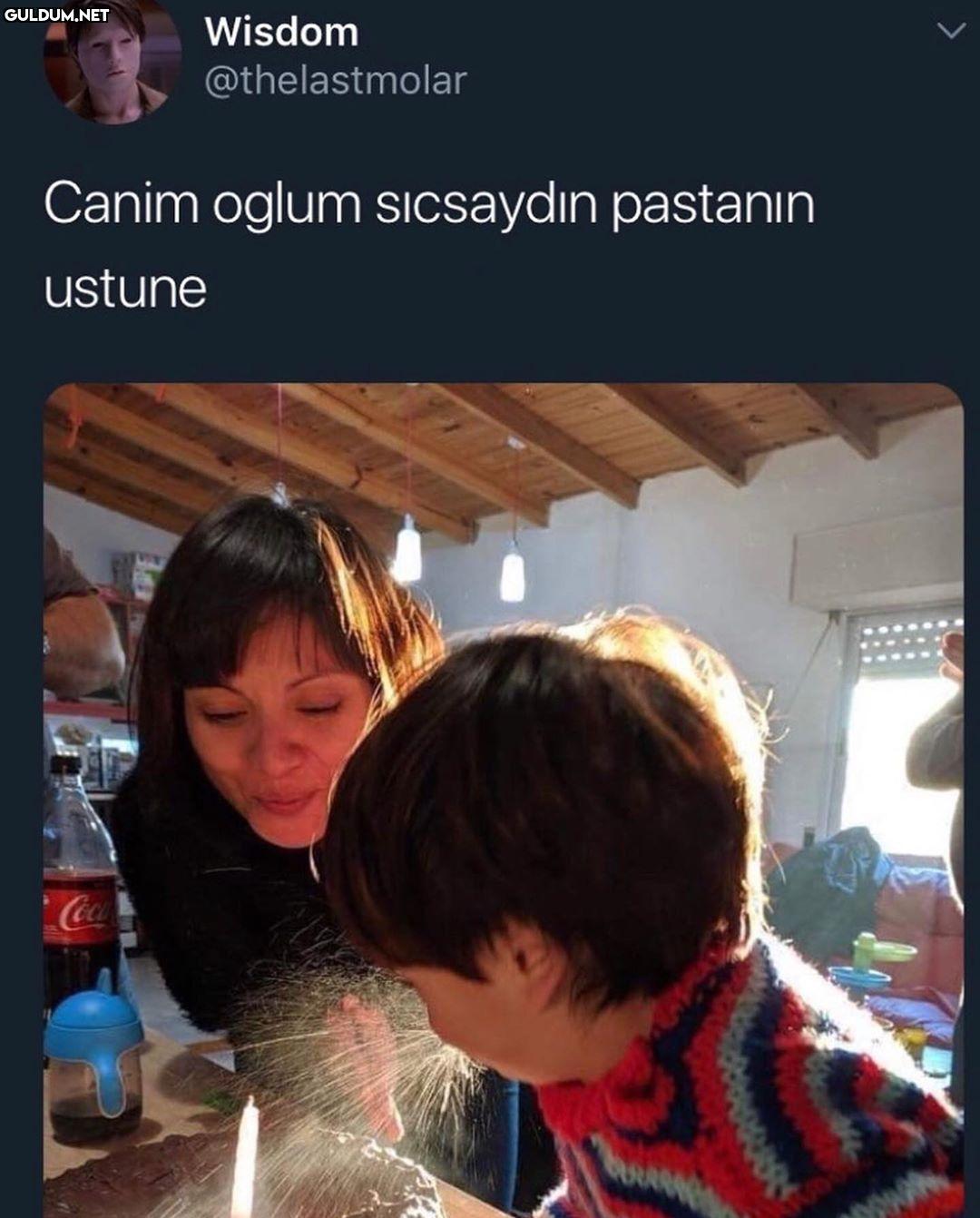 Wisdom @thelastmolar Canim...