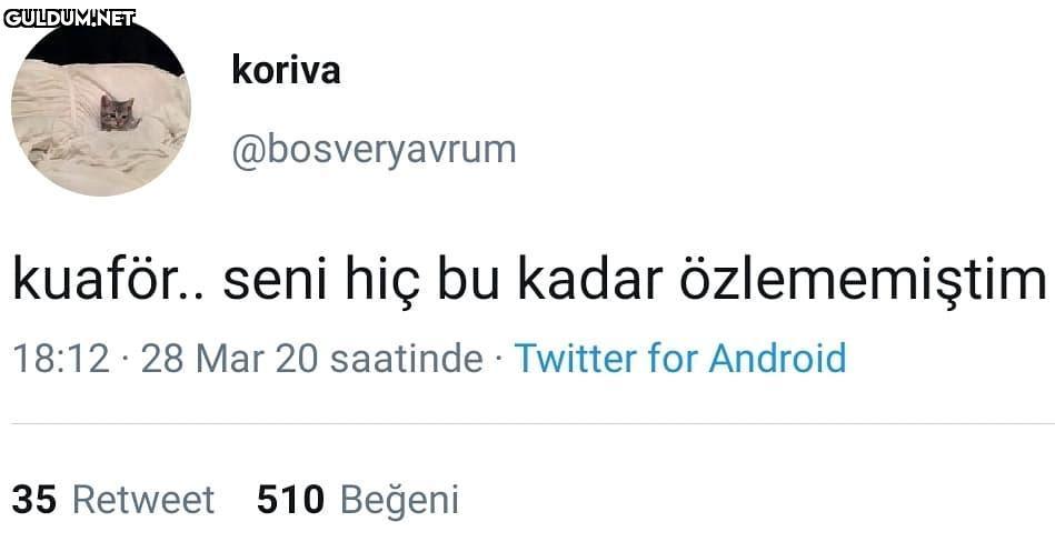 berber televizyonunda...