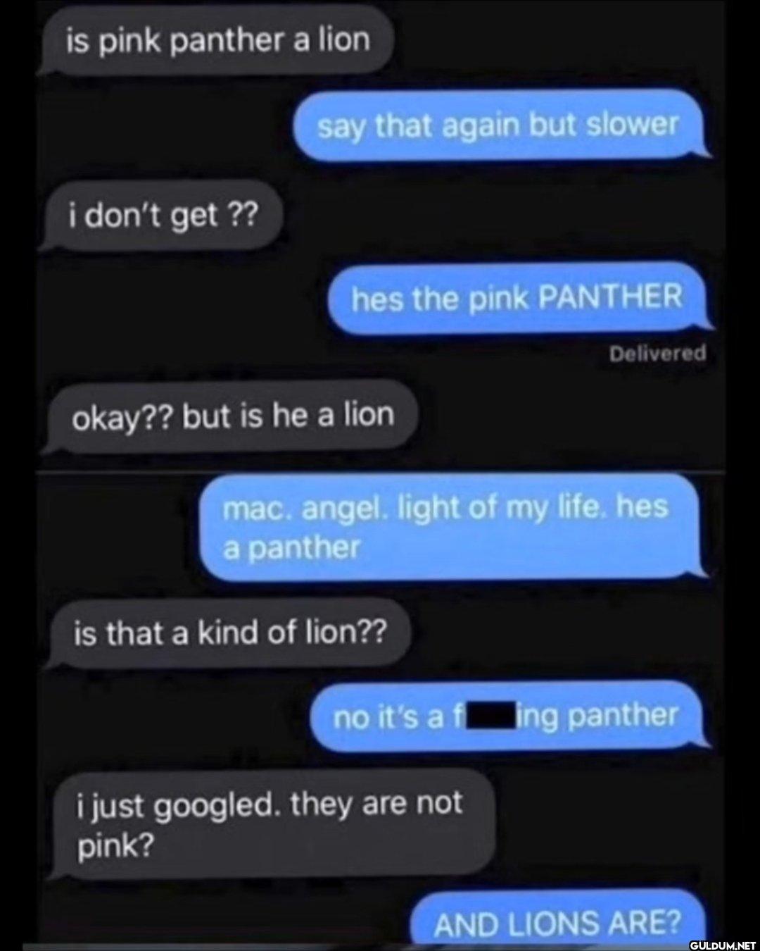 Is Pink Panther a lion? 🤣 ...
