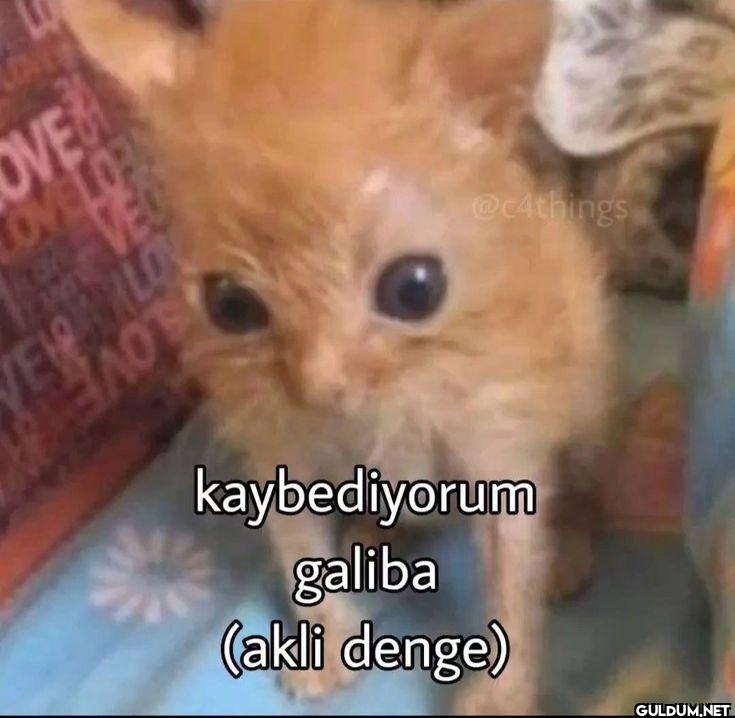OVE LOVELO VE kaybediyorum...