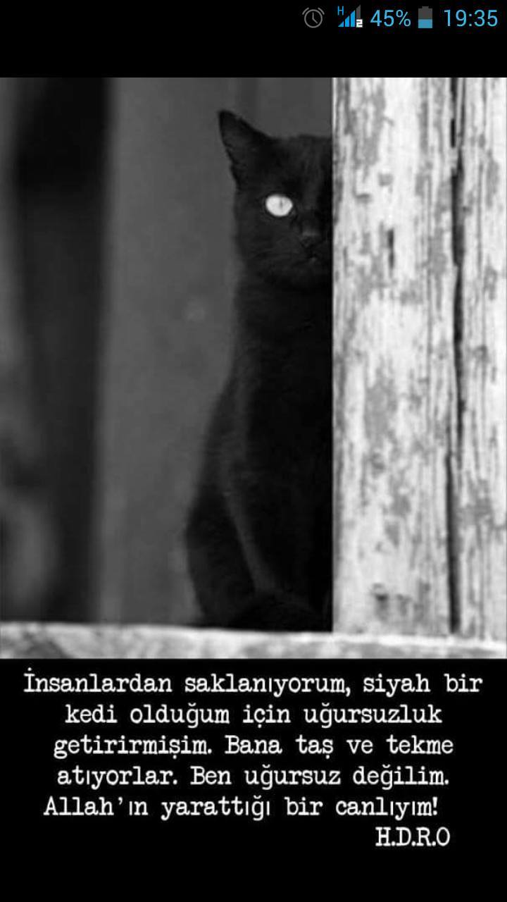 insanlardan saklanıyorum,...