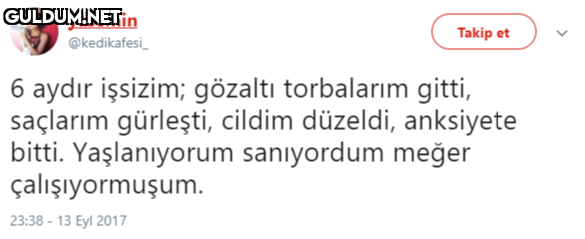 yasemin Takip et...
