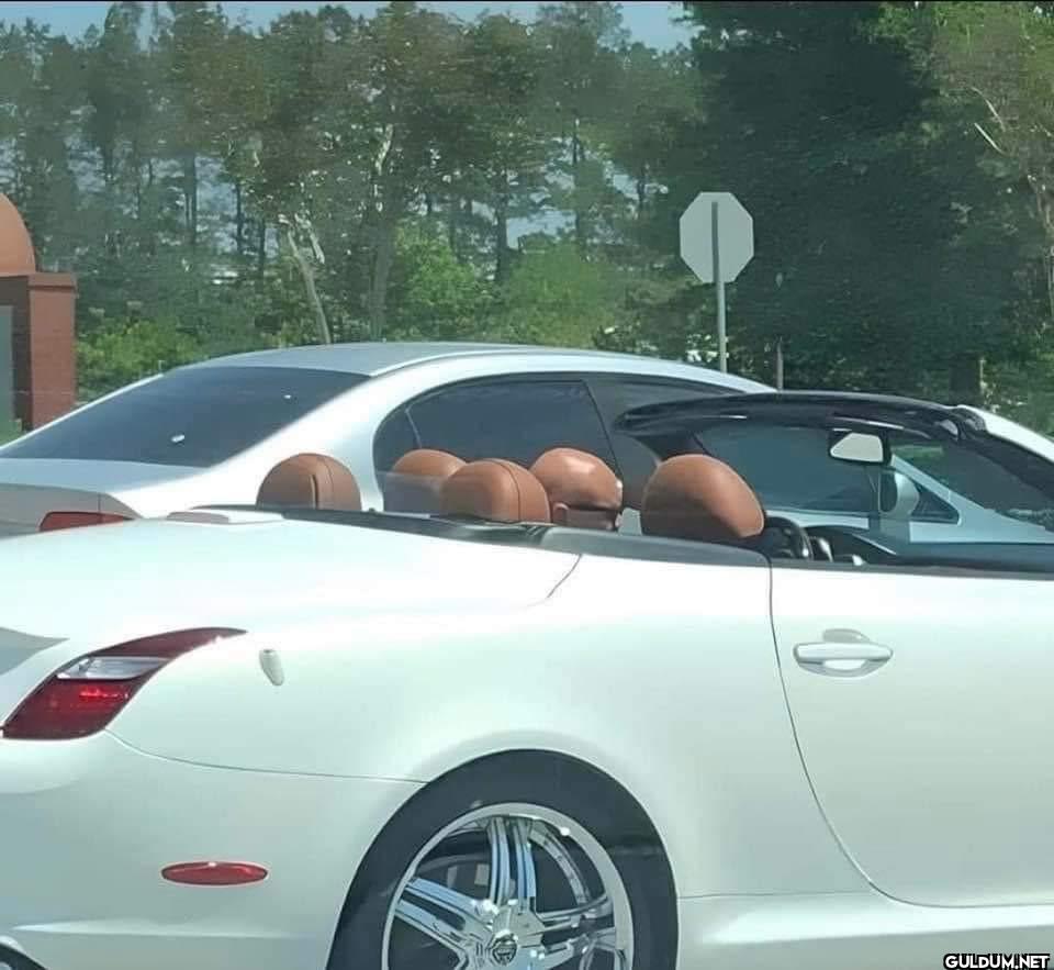 i thought it was 5 bald...