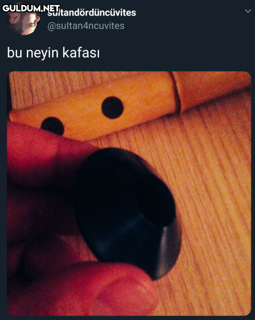 sultandördüncüvites...
