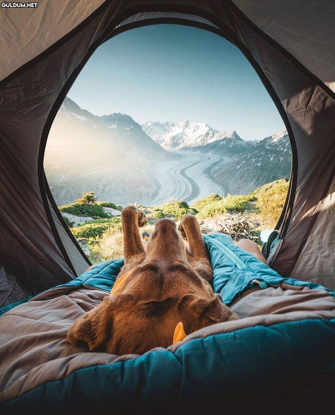 Günaydın 😊
-
📷 @dogswiss
-