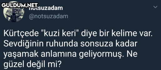 notsuzadam @notsuzadam...