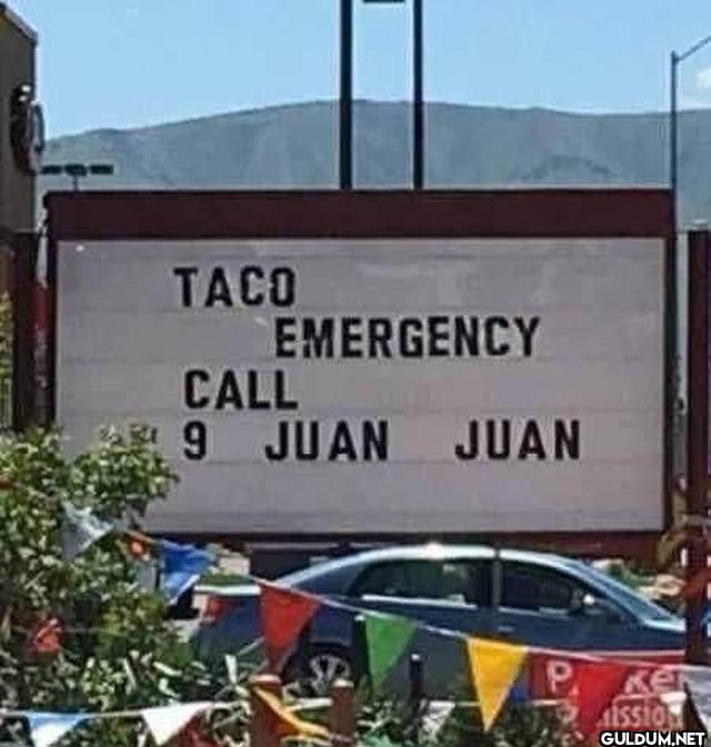 ︎ ︎ ︎ ︎    TACO CALL...