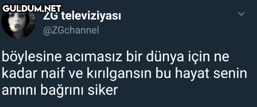 ZG televiziyası @ZGchannel...