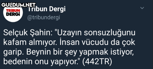 Tribun Dergi TRIBUN DERGİ...
