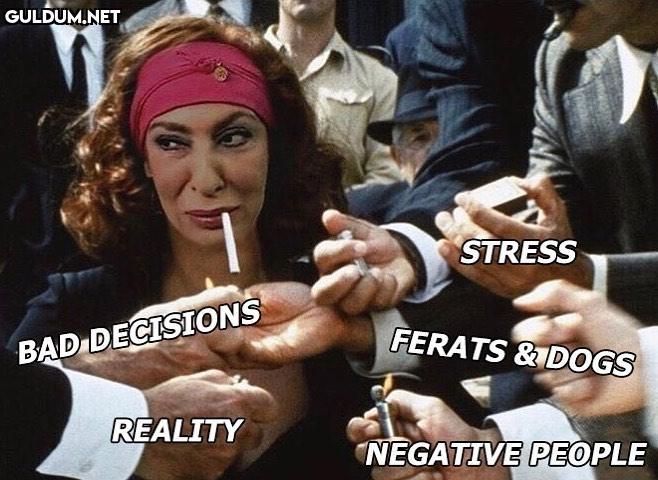 @satrayn1 STRESS FERATS...