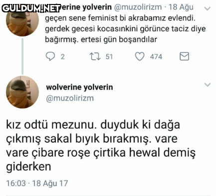 wolverine yolverin...