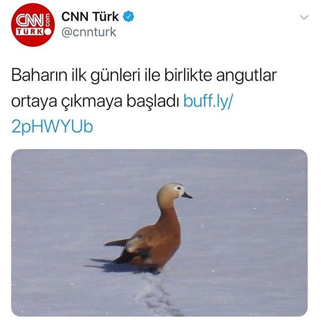 Baharın ilk gününde...