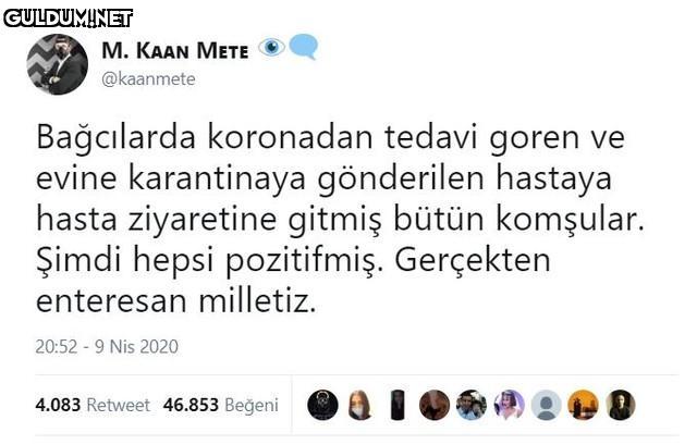M. KAAN METE @kaanmete...