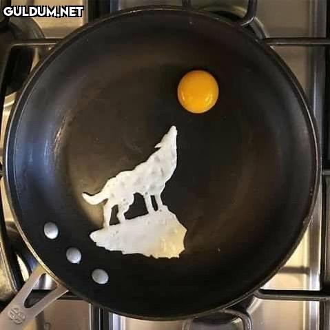 Sunny side up hareket engellenemez.