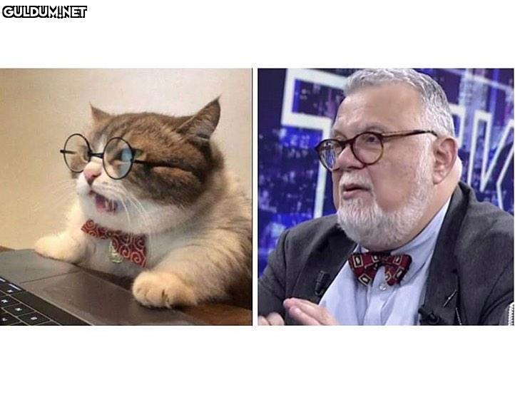 @cukk_oturdu