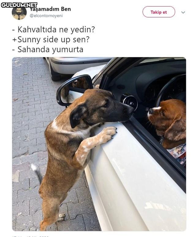 Yaşamadım Ben Takip et...