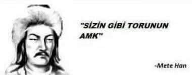 Sizin gibi torunun amk - Metehan.