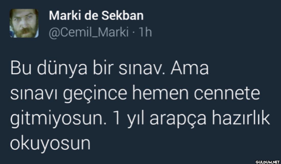 - 1h Bu dünya bir sınav....