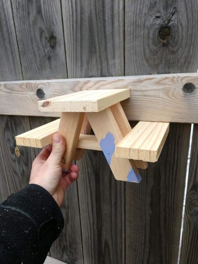 Sincap piknik masası 🐿️