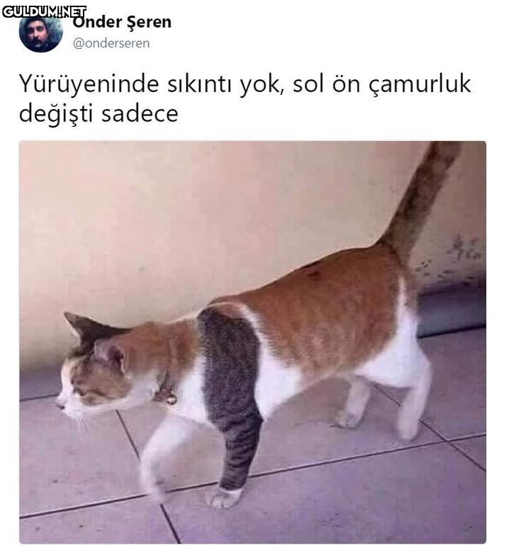 Önder Şeren @onderseren...