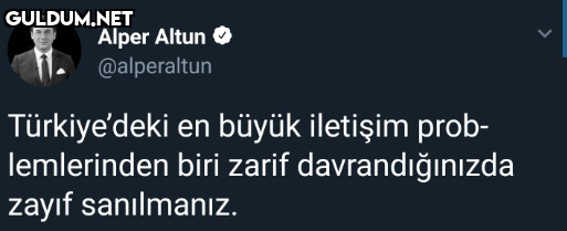 Alper Altun @alperaltun...