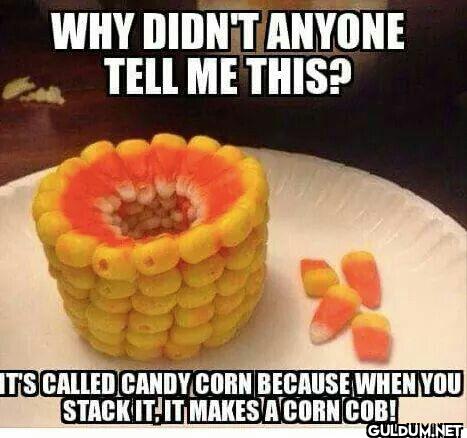 ︎ ︎ ︎︎ ︎ ︎ ︎ ︎ ︎    WHY...
