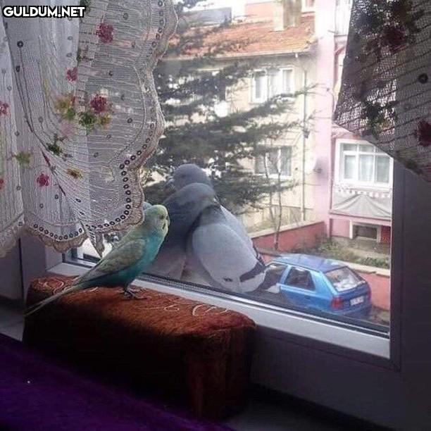 Kaç kadeh kırıldı minnoş...
