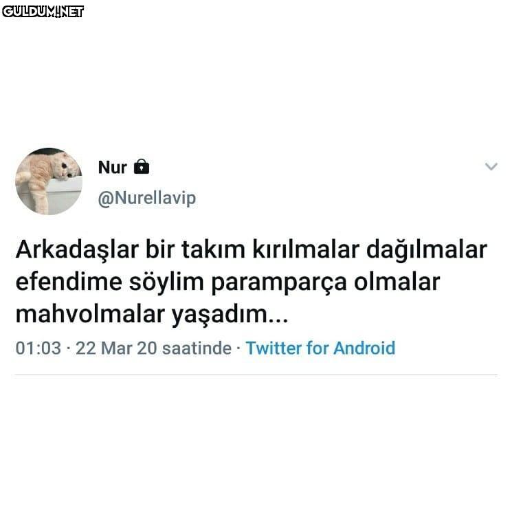 Nur a @Nurellavip...