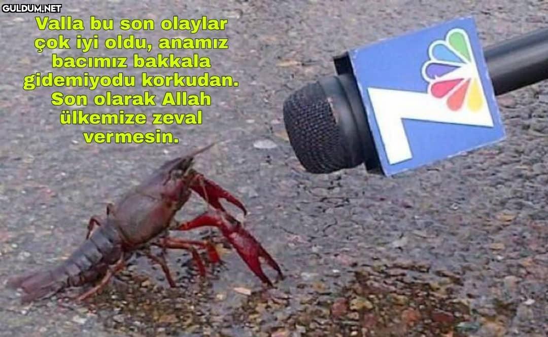 Doğa sonunda rahat bi...