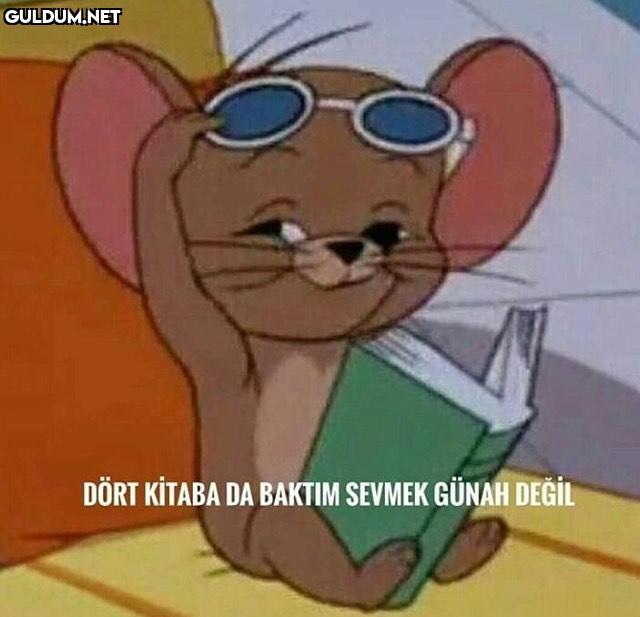 manitaya atmalık DÖRT...