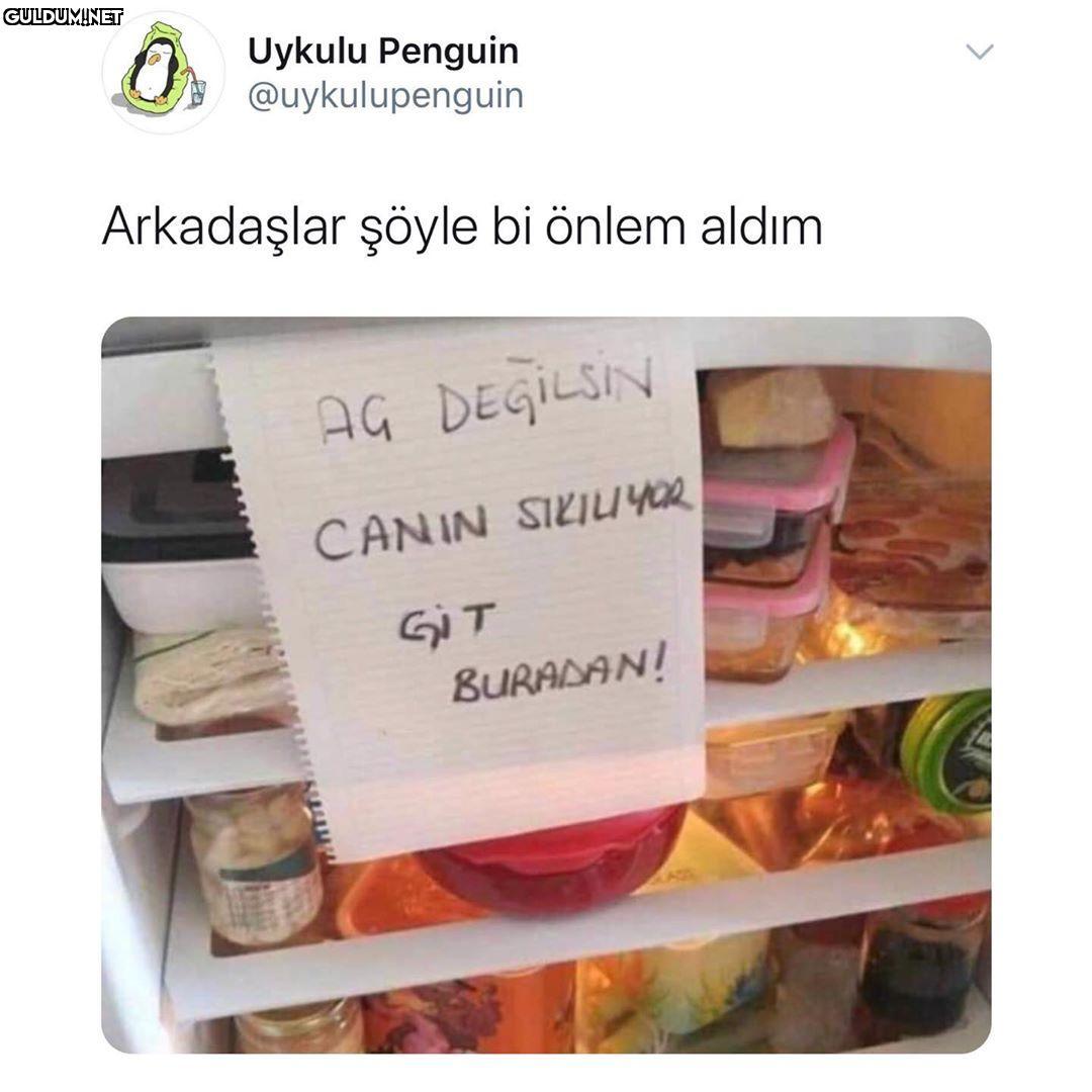 Uykulu Penguin G...